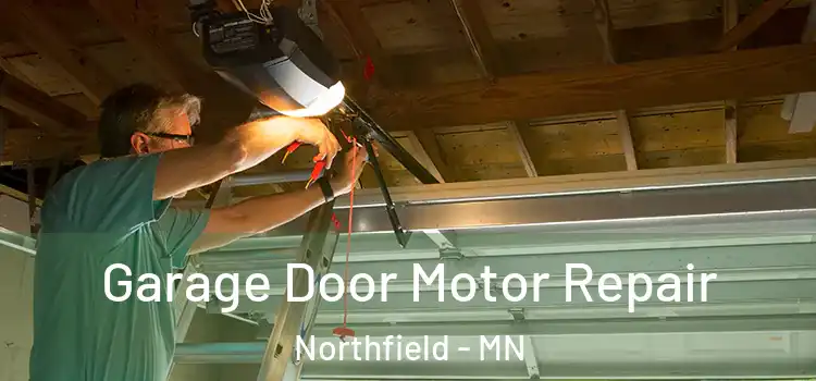  Garage Door Motor Repair Northfield - MN