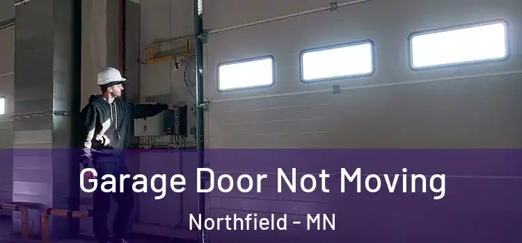  Garage Door Not Moving Northfield - MN