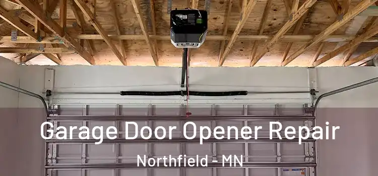  Garage Door Opener Repair Northfield - MN