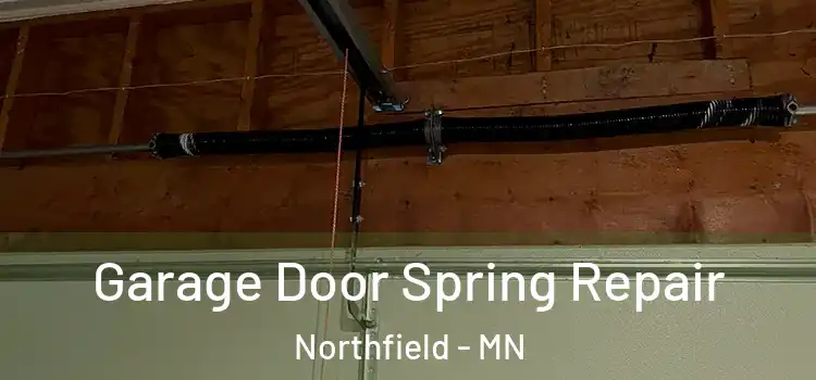  Garage Door Spring Repair Northfield - MN