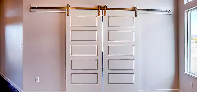 Glass Barn Door with Installation Hardware Kit Northfield