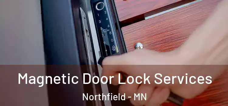  Magnetic Door Lock Services Northfield - MN